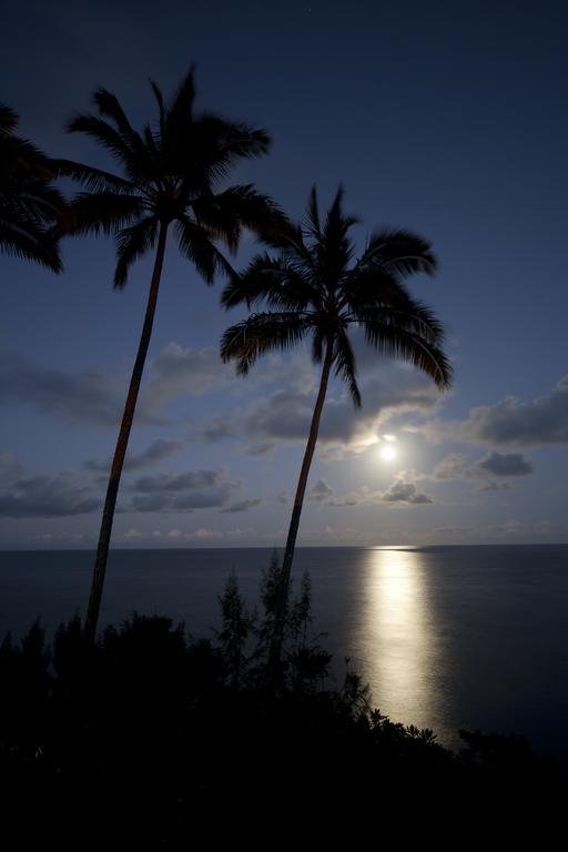 Hale Kai Hawaii Bed & Breakfast Hilo Luaran gambar