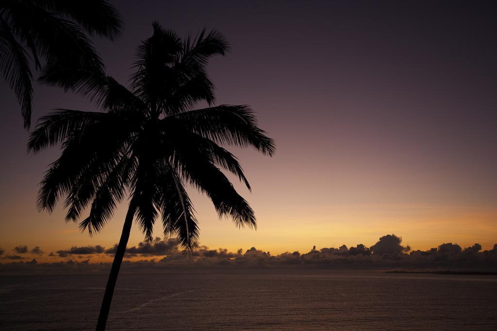 Hale Kai Hawaii Bed & Breakfast Hilo Luaran gambar